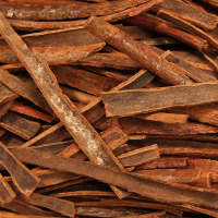cinnamonbark800