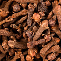 clove800