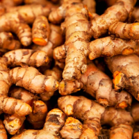 turmericroot800-2