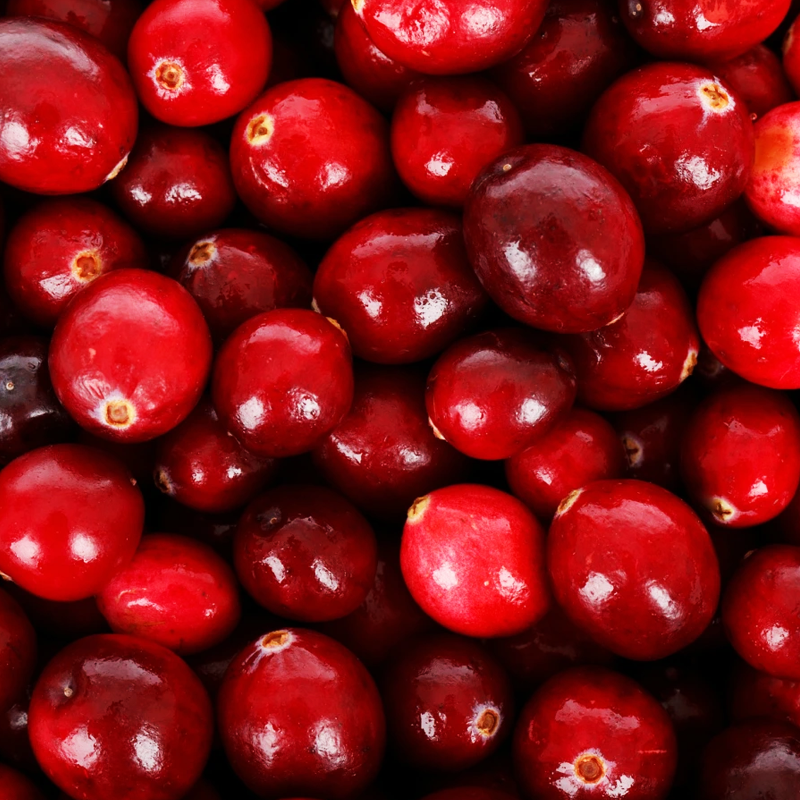 cranberries800